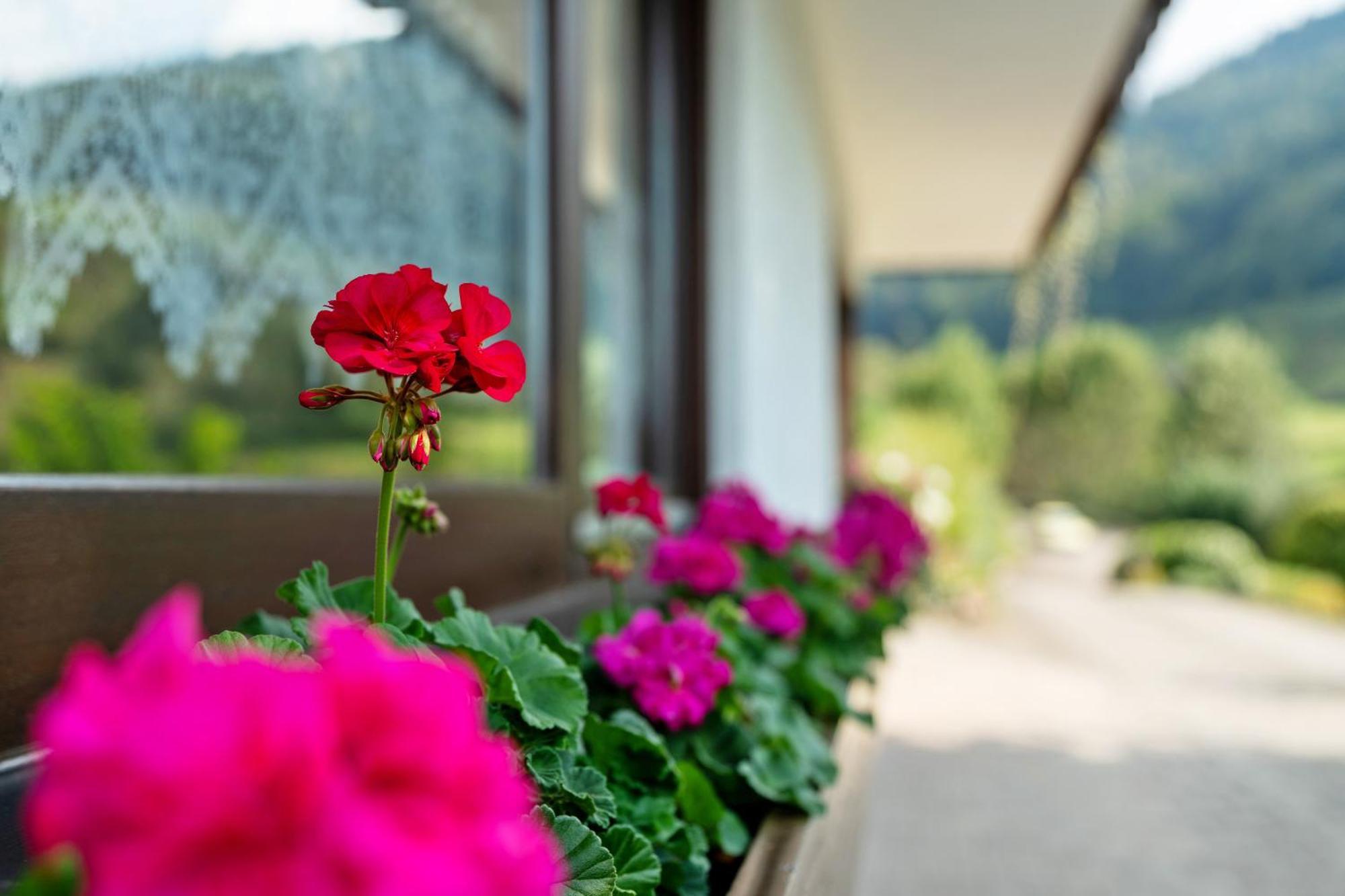 Apartamento Haus Schindler Ottenhofen im Schwarzwald Exterior foto