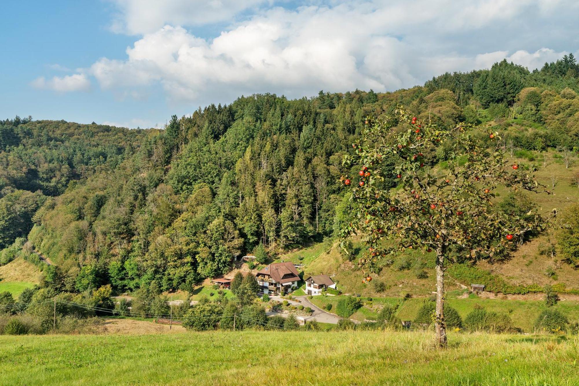 Apartamento Haus Schindler Ottenhofen im Schwarzwald Exterior foto